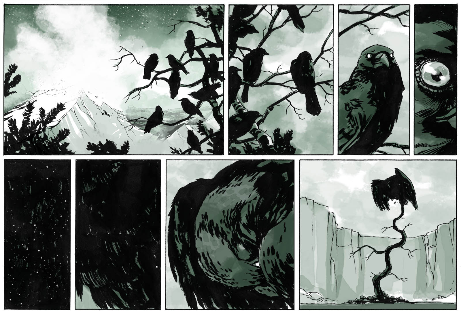 Do You See What I See